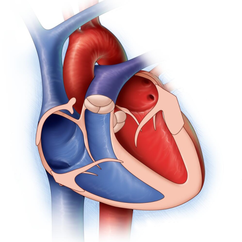 UC Score Mayo Clinic Business Development