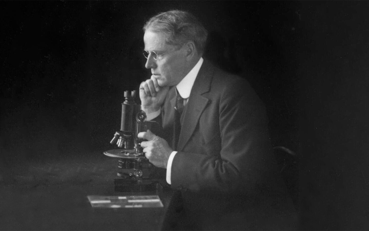 Dr. Louis Wilson